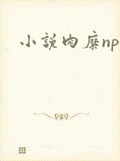 小说肉糜np
