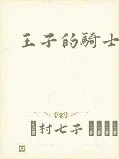 王子的骑士