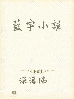 蓝宇小说