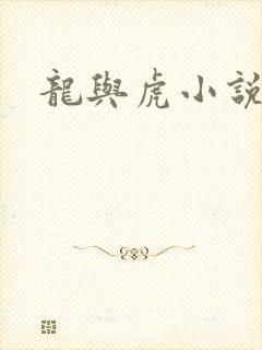 龙与虎小说