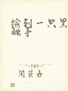 捡到一只黑心小触手