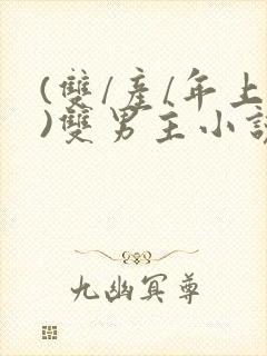 (双/产/年上)双男主小说