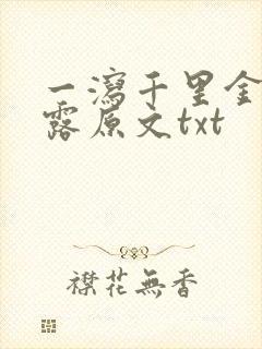 一泻千里金银花露原文txt