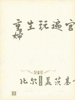 重生玩遍官场贵妇