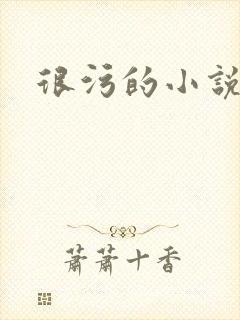 很污的小说