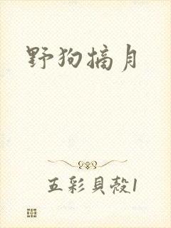 野狗摘月
