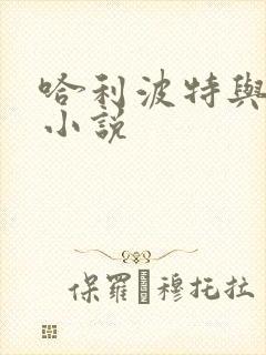 哈利波特与密室小说