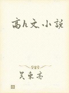 高h文小说
