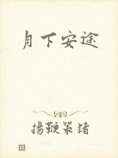 月下安途