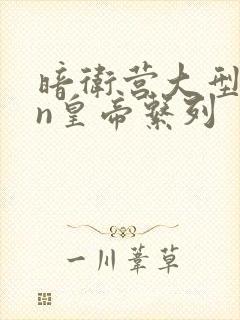 暗卫营大型hpn皇帝系列