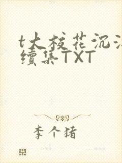 t大校花沉浮录续集TXT