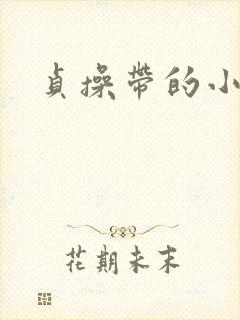 贞操带的小说