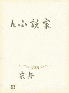 h小说家