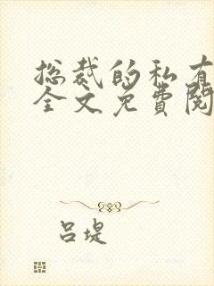 总裁的私有宝贝全文免费阅读