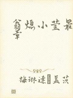 翁熄小莹最新节章