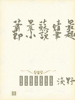 萧晨苏晴最新章节小说笔趣阁