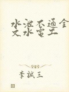 水泄不通金银原文水电工