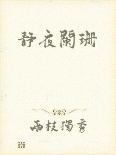 静夜阑珊