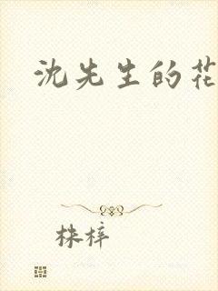 沈先生的花式调