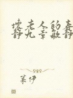 坏老人的春天敏静九章敏静