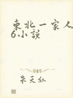 东北一家人1一6小说