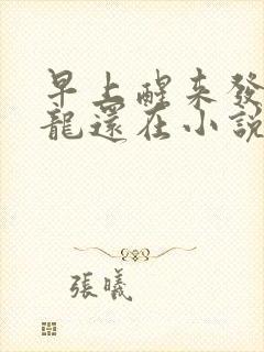 早上醒来发现巨龙还在小说