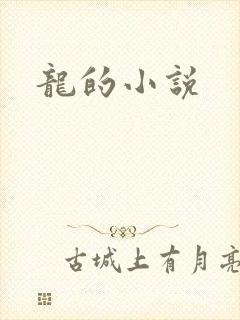 龙的小说