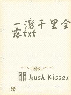 一泻千里金银花露txt