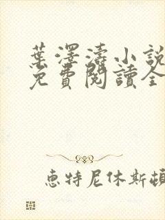 叶泽涛小说全文免费阅读全文