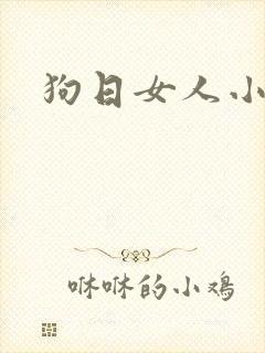 狗日女人小说