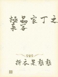 极品家丁之远方来客