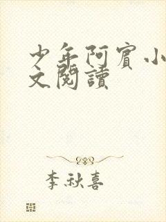 少年阿宾小说全文阅读