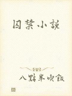 囚禁小说