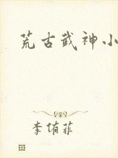 荒古武神小说