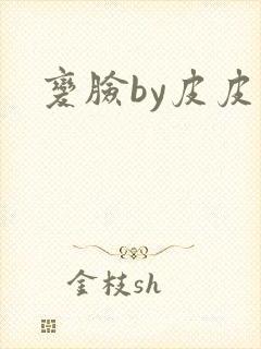 变脸by皮皮虾