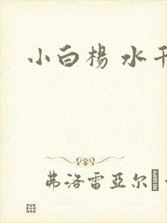 小白杨 水千丞