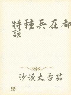 特种兵在都市小说