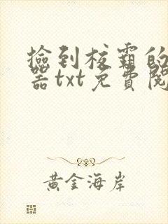 捡到校霸的遥控器txt免费阅读by阳阳