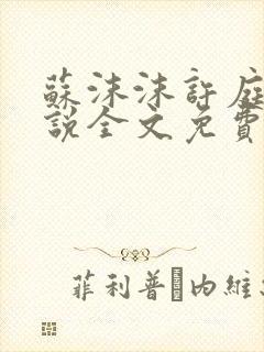 苏沫沫许庭川小说全文免费阅读