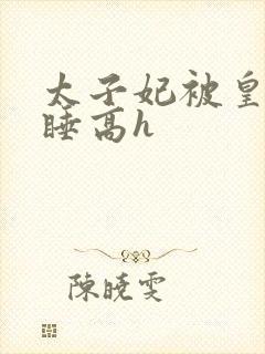 太子妃被皇上强睡高h