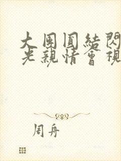 大团圆结闪闪发光亲情会视频