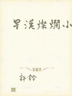 星汉灿烂小说