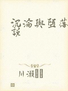 沉沦与堕落的小说