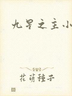 九星之主小说