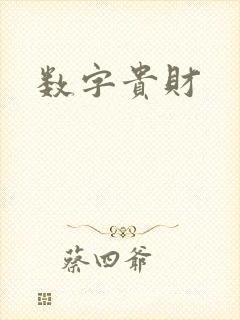 数字贵财