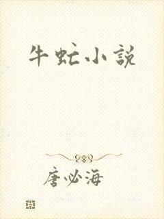 牛虻小说