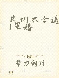 我们不合适1v1军婚