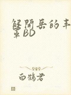 解开岳的丰满奶罩BD