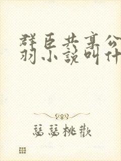 群臣共享公主银羽小说叫什么