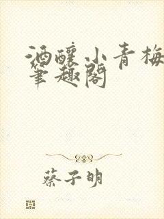 酒酿小青梅po笔趣阁